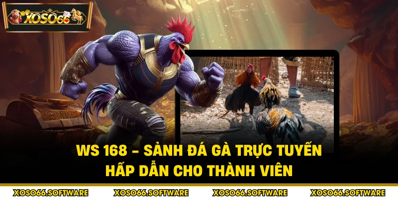WS 168